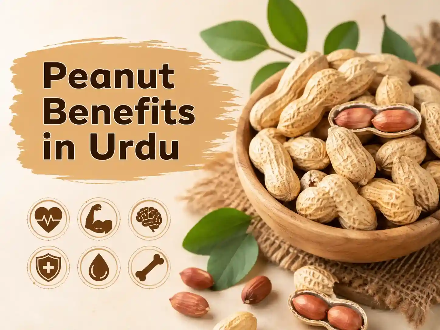 Learn about the benefits of peanut in urdu.