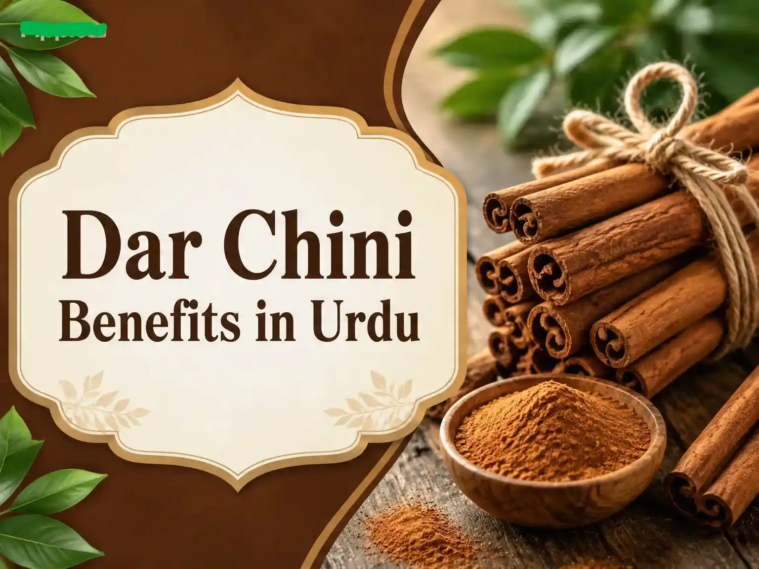Dar chini can benefit your health in many ways.