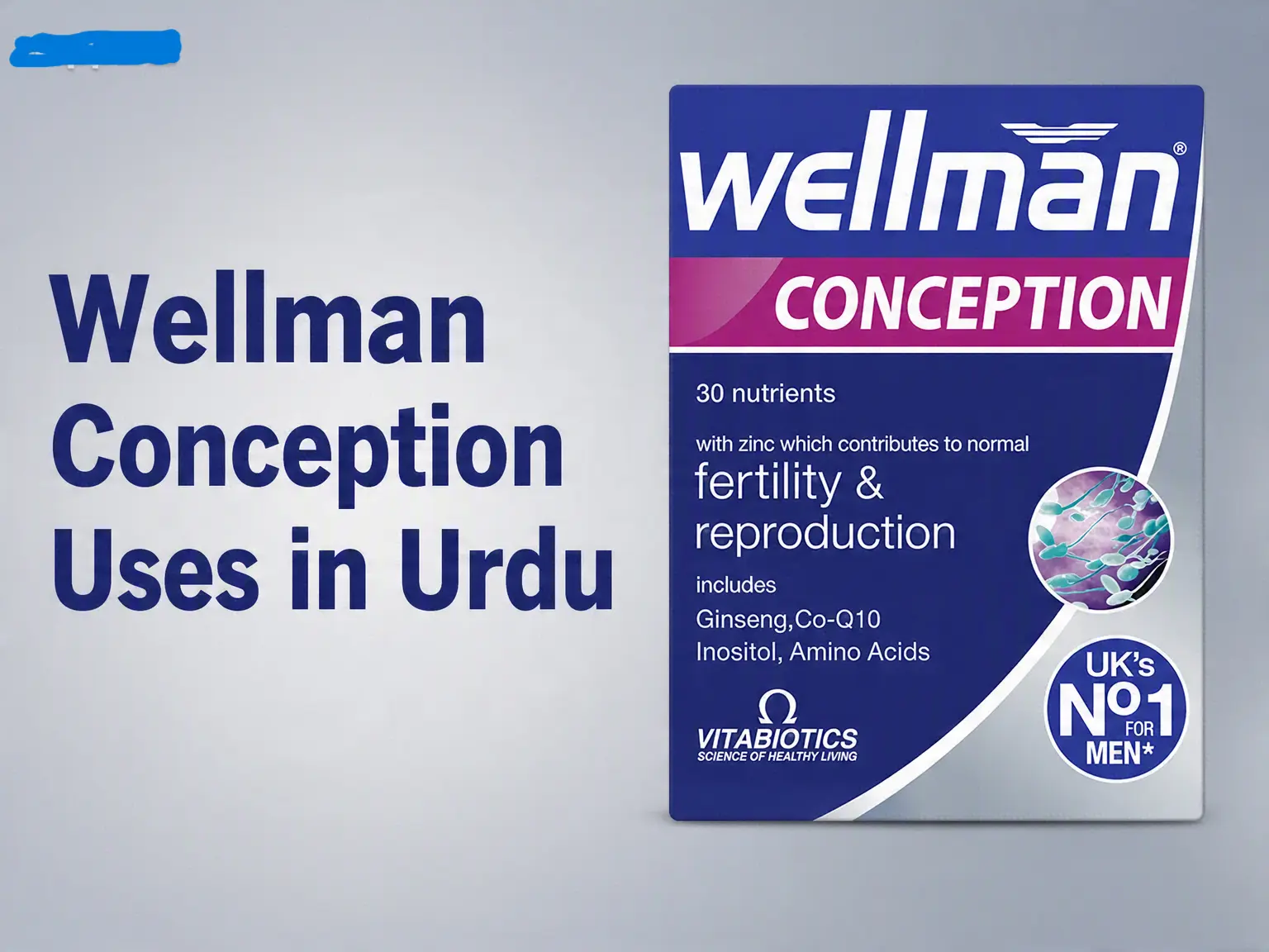 Wellman conception is effective for male fertility.